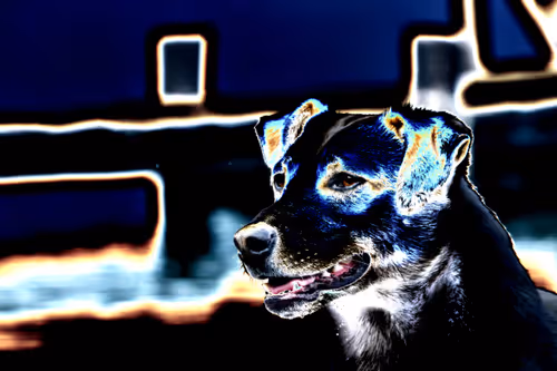 Item #97472780855113725442361506406406632137290984226550429674679319484669144072193 Media