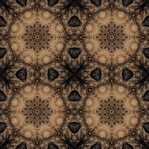 Item #56574662259603682151245989215512264543106181545014608248201408234006916366337 Media