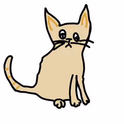vasu's kitty