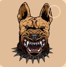 Item #29355339773466068292762804639456194595846801358185500718397949529503253397505 Media