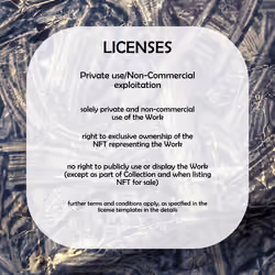 License Level 1 - Private use/Non-Commercial exploitation