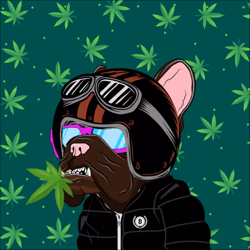 Item #106428270753434531491887901925397801775135261497342296435004701453164365217793 Media