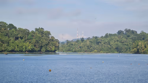 Item #92102367061063309777516937454515010530577803003562200099227054013120597983233 Media