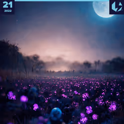 80648933157205258145648989562994357203350941922059588620302903459039131205633