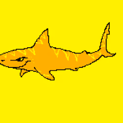 SharkyNFTs #009 LIMITED EDTION GOLD