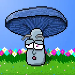 33741781216748986518517832568595493503429706584982134247768926000815164882945