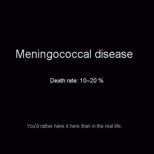 Item #81808085032476359797455255547863298923837726005960725874573045505737147548648 Media