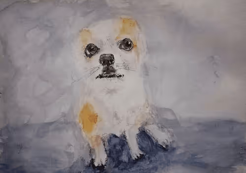 Item #53661683660994396488981893260373811515315705590489664499670501584924045313696 Media