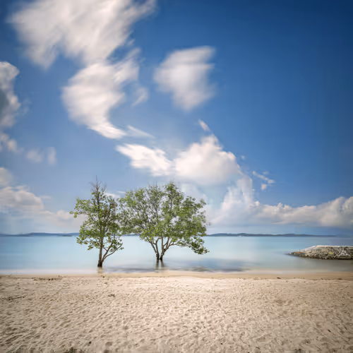 Item #36343894440936845448416662116372944151041084231430289706885235911172661706753 Media