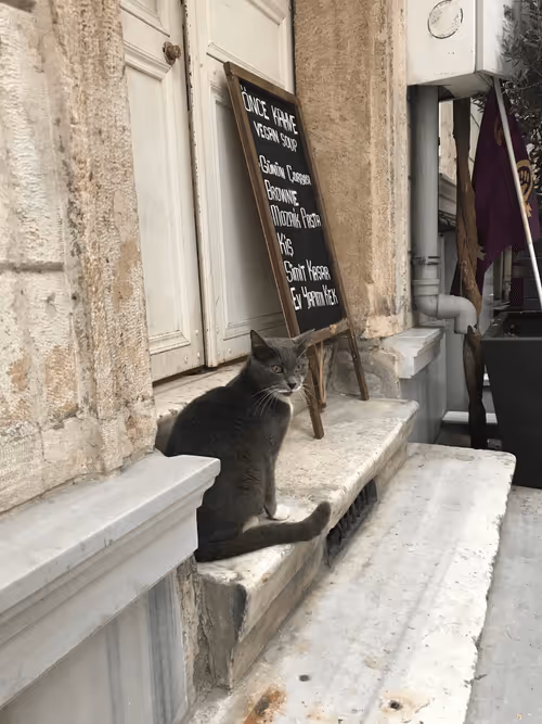 Item #71751047679511305985011817054352364605504148284906352718983005701244450766849 Media