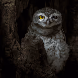 61684684013370051227163866082320023750896296023852719411798081121524381646873