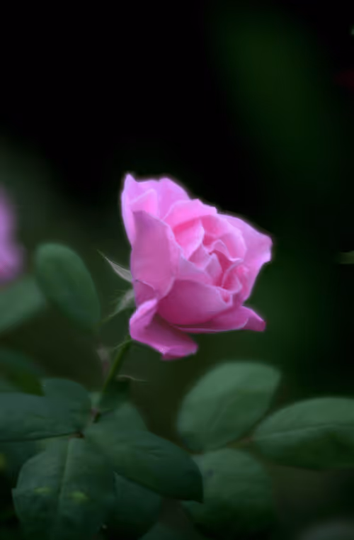 Item #56943947837122673731930897750220814689639948529564795848618456940763630534657 Media