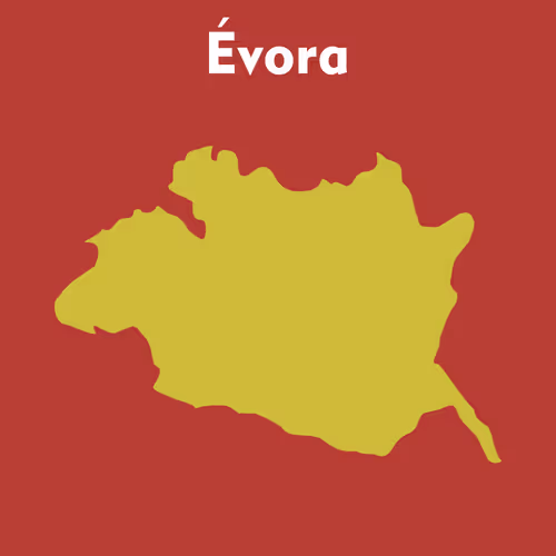 Item #53594356007989535792850162458107501771688790401863407050360661570991685632005 Media