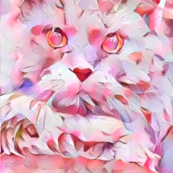 Cat 0048