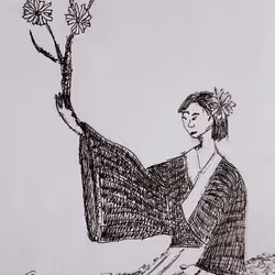 59134823550596979964953959266875194704433400244529019100266579049645856522241