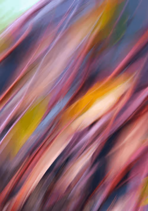 Item #23265726314410109476129301555838572111439838682222879854994044587274816978945 Media