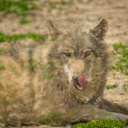 11276162529628641556553056529614973332754405277106184420845745005929986785281