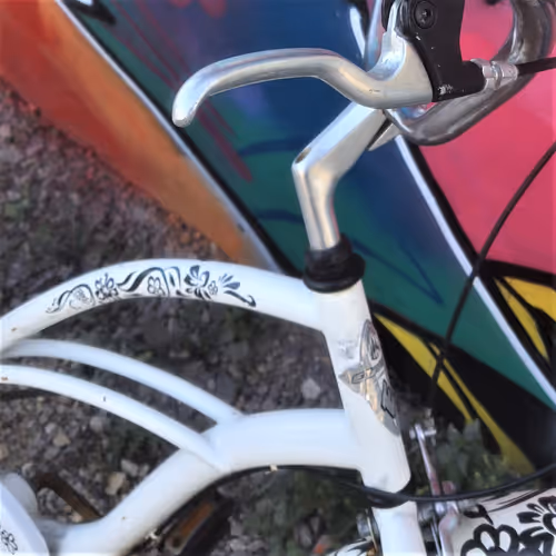 Item #51107028403931991835329534031498650772266658764783547759528015670635298553857 Media