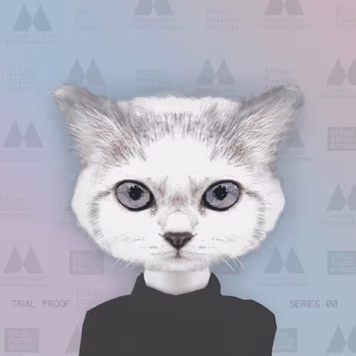 Item #42868772326336640038894850546573262856003085678038273720485937746834716884993 Media