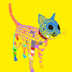 broken cat