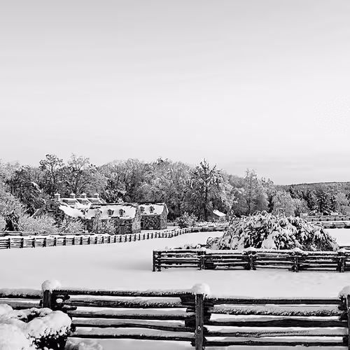 15081463501546268006596121588316872326209313817998412847676537117127921893377