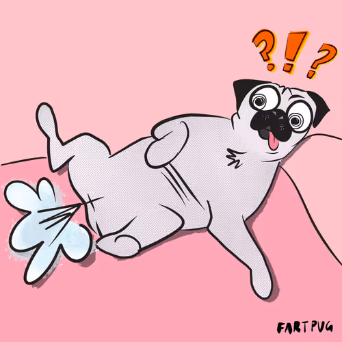 Item #85362430766667722675884424288974458859246388639412681689314961265856539000833 Media