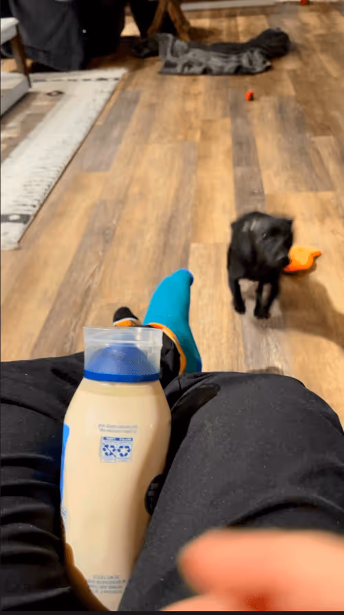 Item #96156498102766806644253239393959119174529927620756004996481508353083770404865 Media