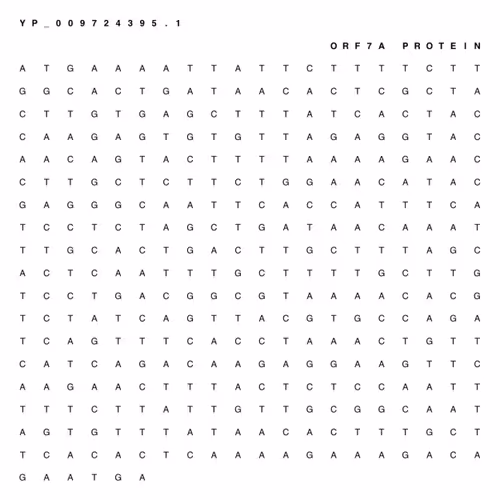 Item #65380618963620114885281271461439322618207565584775953371672302084515904356353 Media