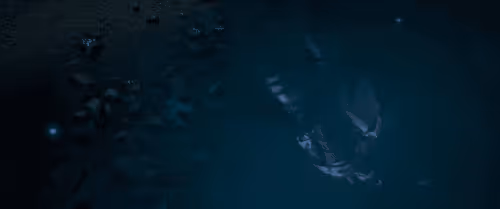 Item #99200865775611471926543018158573320693117634959498765006266316431757095731201 Media