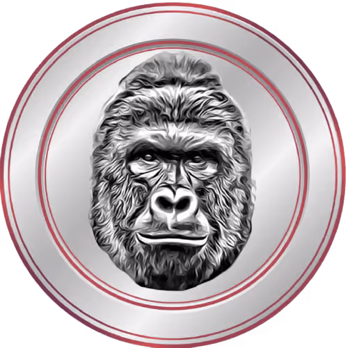 Item #58539809437557557179990783673993922087340733807520705239533842586857075900417 Media