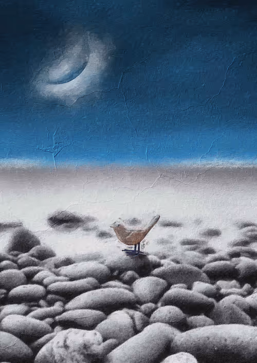 Item #96141620888971904453700979461713083969252258486060395230845929605483951292417 Media