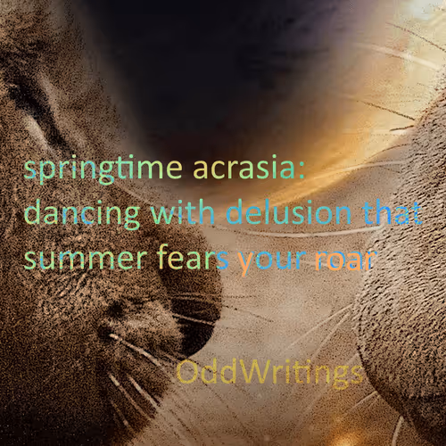 Item #48289997999590210334063077456393509528592056807732048907342275371163797422081 Media