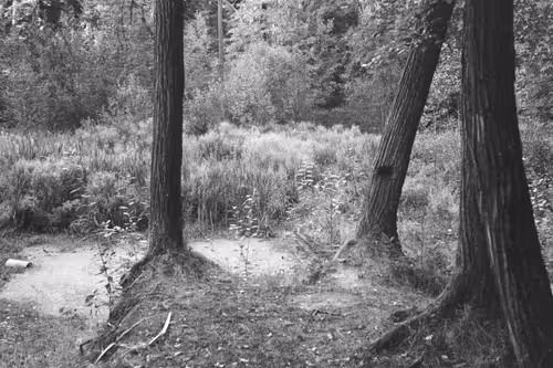 Item #34811634924862855090105769671786307071201187759740501250683185485930309877761 Media