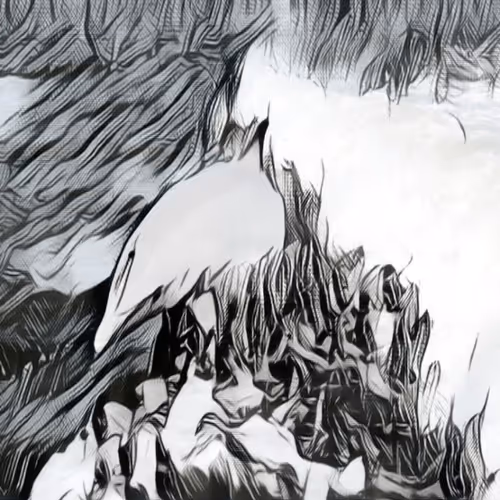 Item #50533192108599939293967127889299662602908893297659253807051018236969212706817 Media