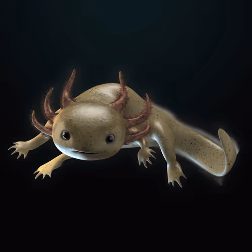 Item #39982110375740153587505644478940195082872270202471884348459982122710986653697 Media