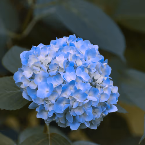 Item #84009224688457436911077818242985162617127929827345760770995272780671881314305 Media