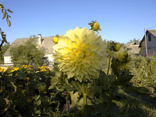 Item #41983459946325006344850038724007157971914249844141491949312559109999859597313 Media