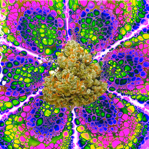 13955282856406335165414100891374623718709547313428947888299033923071462342666