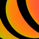 115745459846495047462184448337615078963565200670166152504000622233593921404929