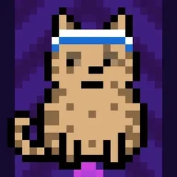 62467536445418901683526312390752010330375978015730577464472940816351476318209