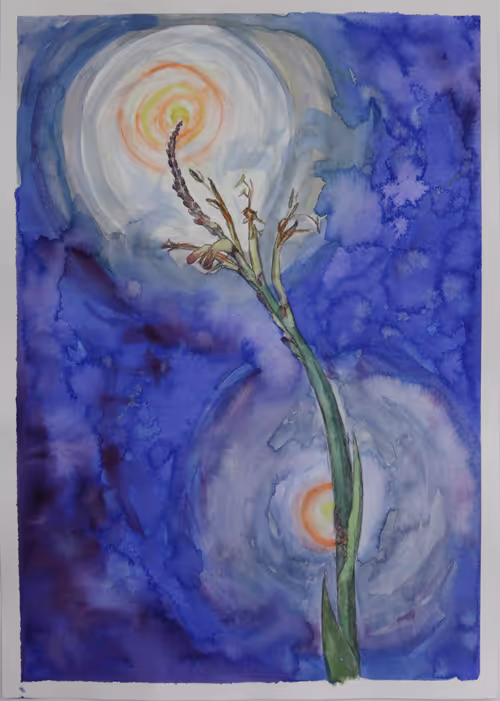 Item #46267743495132859547511032037696953227726596585589071183384476008910807891969 Media