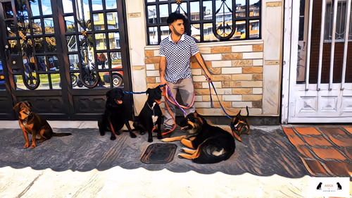 Item #10567450016853403337930259676618451783682953632793231315200837914091967217665 Media