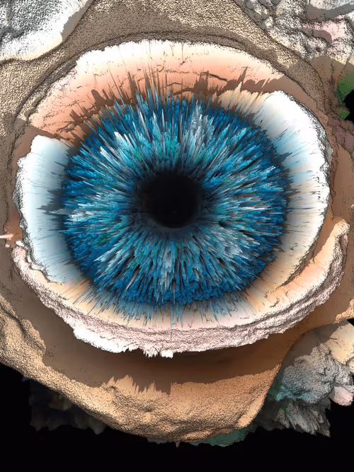 Item #47993365230904546224908061961898398429308184507692648287352000321219951853569 Media