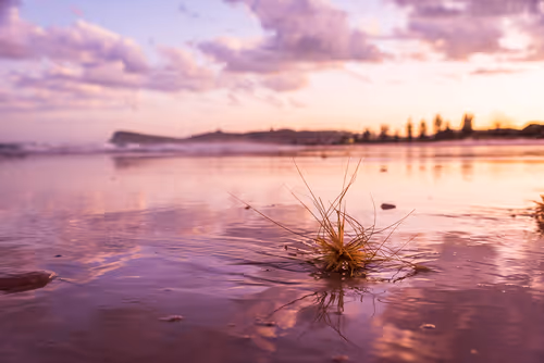 Item #46811432704512750028864506136466032582688166828776649767189577263773762191361 Media