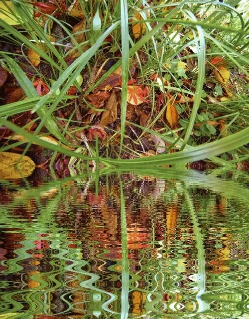 Item #33273431064062745158281459223994481396408298461003960329838769745908090273797 Media