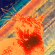110666276841203596158287506744989771636124593017889415675518719507830948233217