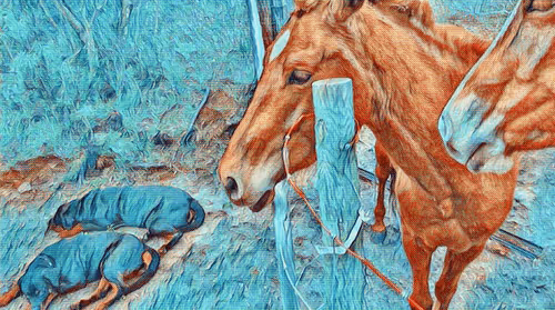 Item #24515379016287833430110687259411372809394655166763807580583558380760680366081 Media