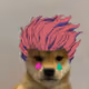 111192260734207196051051594493910007765941924673246411796124672400254411210753