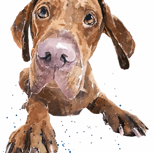 Item #15308155937593783866228062712704217529335676444312394672786838690891646894085 Media