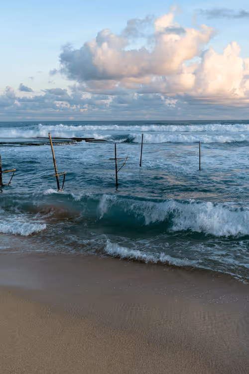 Item #48474301322995807969240274513334363728541577812615842985785900179533741424641 Media